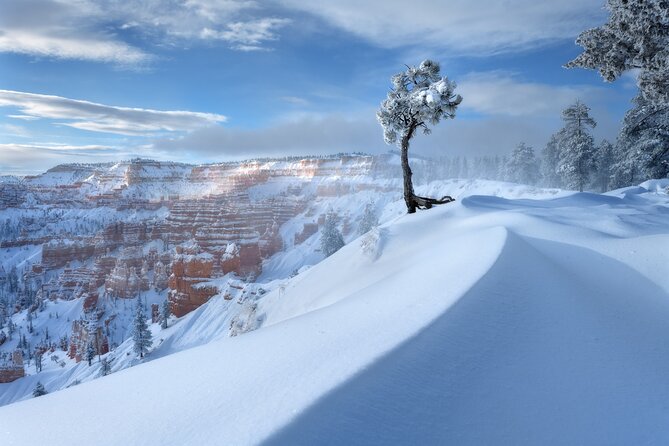 Bryce Canyon Photography Tours - Concluding Thoughts on Bryce Canyon Photography Tours