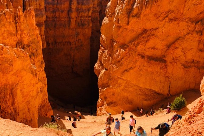Bryce Canyon & Zion National Parks Day Tour From Las Vegas with Lunch - Visiting Zion National Park: Zions Visitor Center and Checkerboard Mesa
