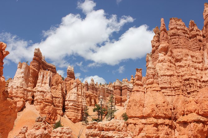 Bryce Canyon & Zion National Parks from Vegas, Lunch, Free WiFi - Physical Requirements and Accessibility