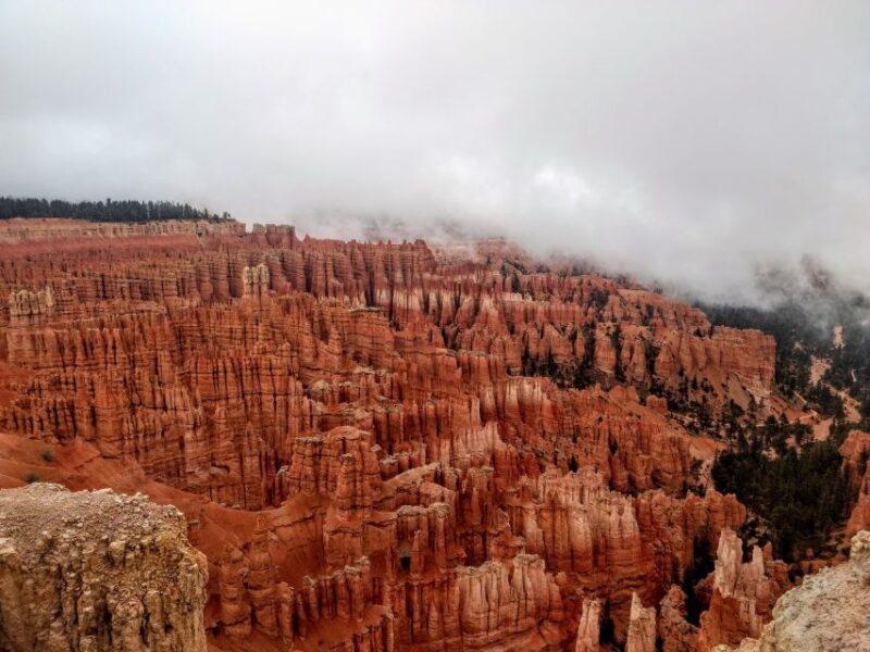 Bryce: Guided Sightseeing Tour of Bryce Canyon National Park - The Experience of the Short Hikes and Scenic Views