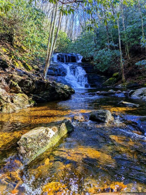 Bryson City: Chasing Waterfalls Guided Hiking Tour - Key Points