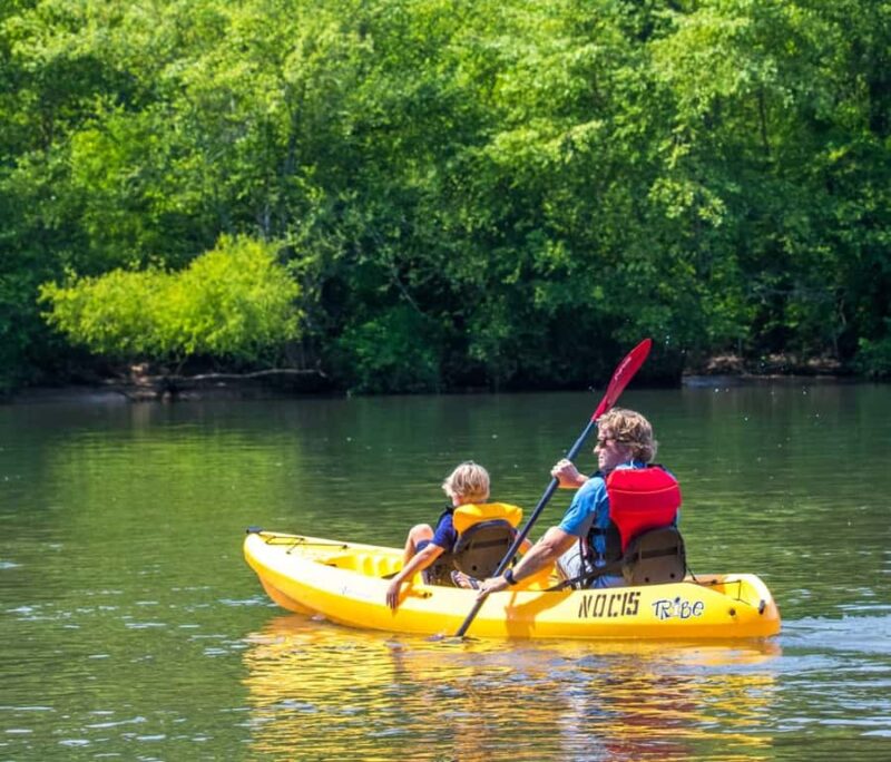 Bryson City: Fontana Lake Guided Kayak Tour - Key Points