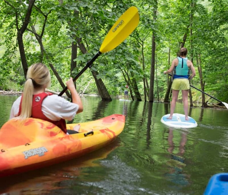 Bryson City: Fontana Lake Guided Kayak Tour - No Experience Required: Perfect for Beginners and Families