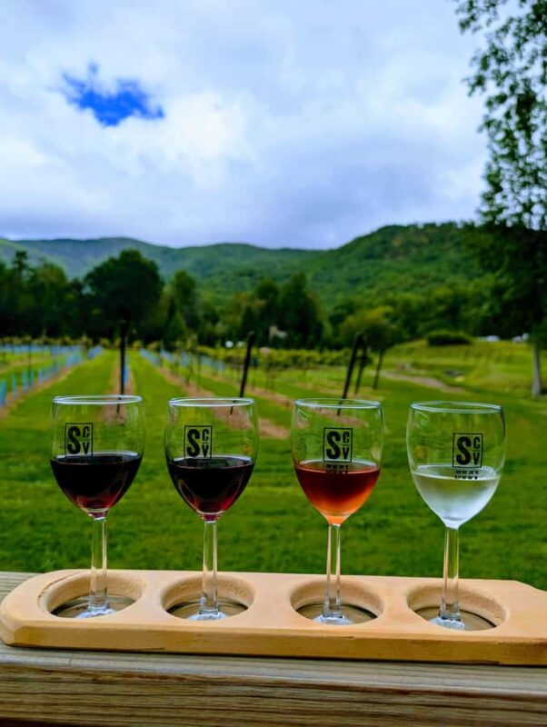 Bryson City: Waterfalls & Wineries Tour - Wine Tasting at Western North Carolina Wineries