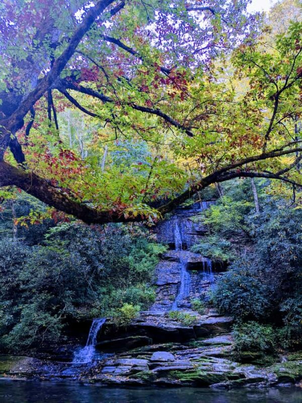 Bryson City: Waterfalls & Wineries Tour - Important Considerations and What to Bring