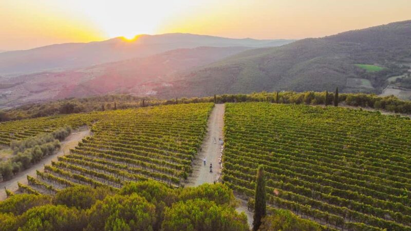 Buccia Nera Winery: Picnic, Vineyard, Wine, Food and Nature - Buccia Nera Winery Picnic: Authentic Flavors and Serene Vineyard Views