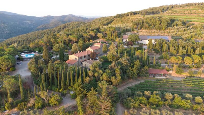Buccia Nera Winery: Picnic, Vineyard, Wine, Food and Nature - Key Points