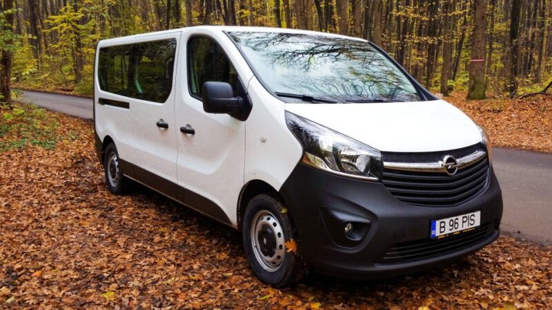 Bucharest: 3-Day Best of Transylvania Tour - The Iconic Bran Castle and Zarnesti Bear Sanctuary