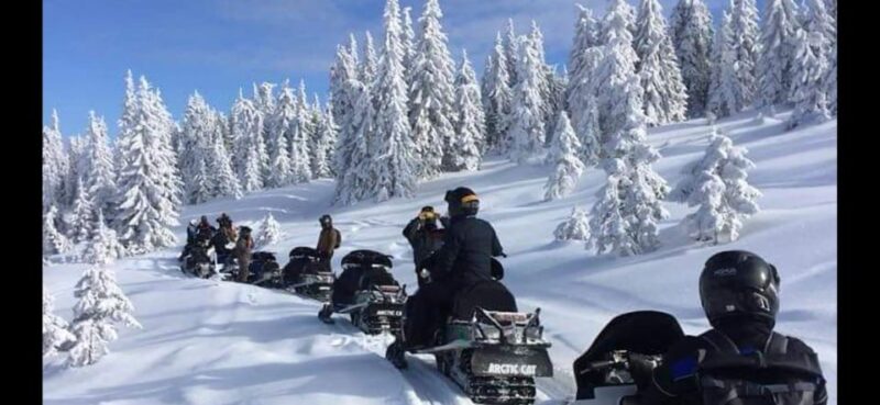 Bucharest: Carpathian Snowmobile Adventure Tour - Flexible Itinerary and Customization