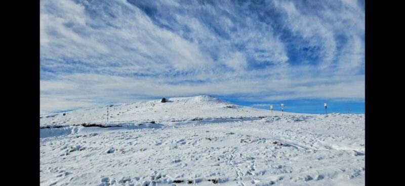 Bucharest: Carpathian Snowmobile Adventure Tour - Reviews and Guest Satisfaction