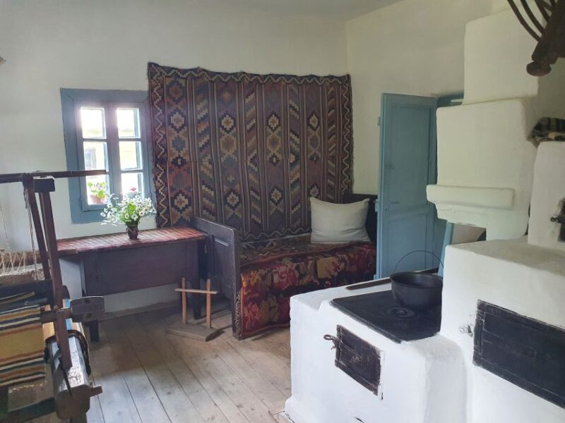 Bucharest City Tour 4h - Small Group Tour by Car - Calea Victoriei: A Street of Royalty and Politics