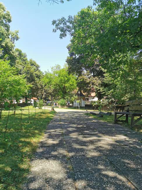 Bucharest city tour: Village Museum visit & Panormaic tour - Visiting the Village Museum in King Michael I Park