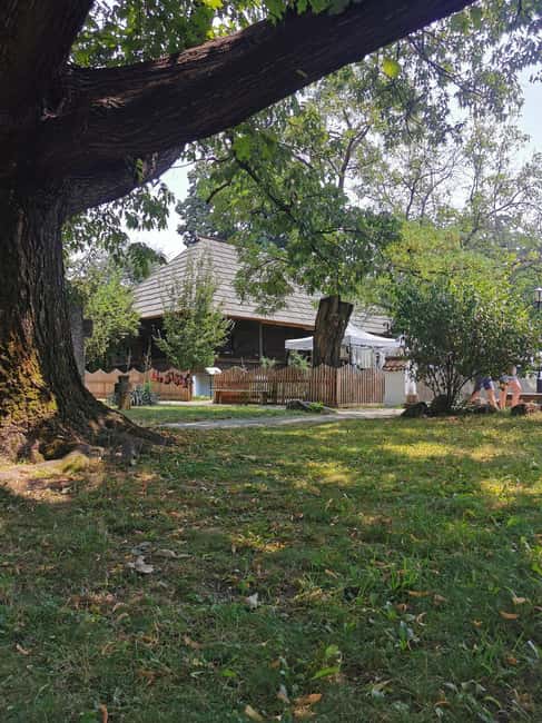 Bucharest city tour: Village Museum visit & Panormaic tour - Flexibility and Practical Details