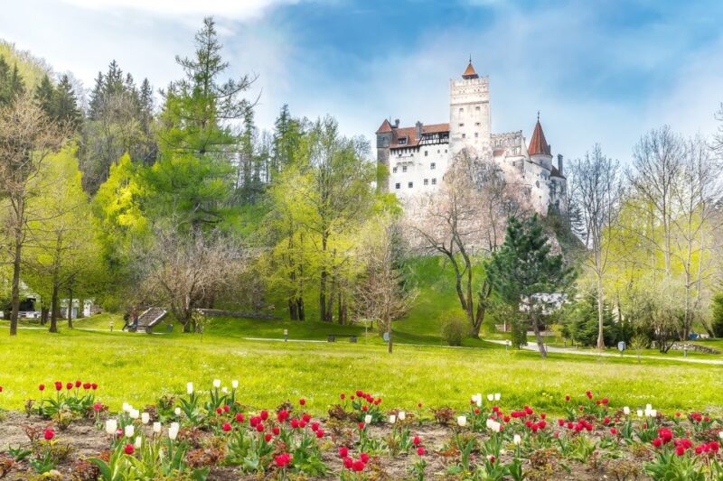 Bucharest: Day Trip to Dracula Castle, Peles Castle & Braov - The Guided Experience and Review Highlights