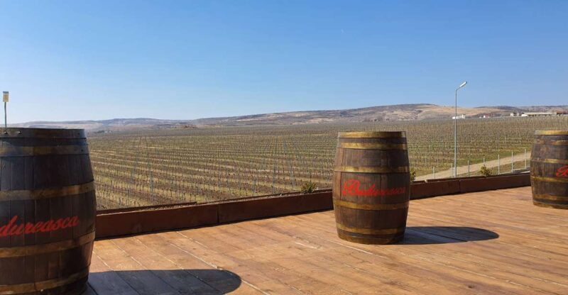 Bucharest: Dealu Mare Winery Private Trip with Wine Tasting - Dealu Mare: Romania’s Premier Wine Region