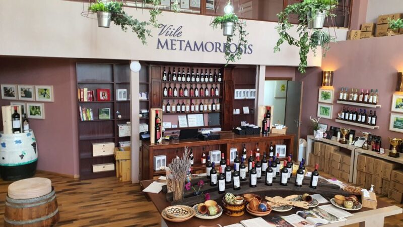 Bucharest: Dealu Mare Winery Private Trip with Wine Tasting - Convenient Private Transport and Comfortable Pacing