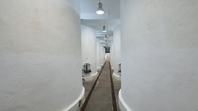 Bucharest: Dealu Mare Winery Private Trip with Wine Tasting - Final Thoughts on the Dealu Mare Private Wine Tour