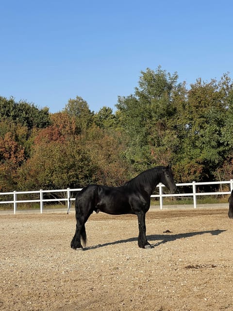 Bucharest: Discover Prejmer Fortified Church and Brasov - Guided Tour Inside Prejmers Museum and Fortress