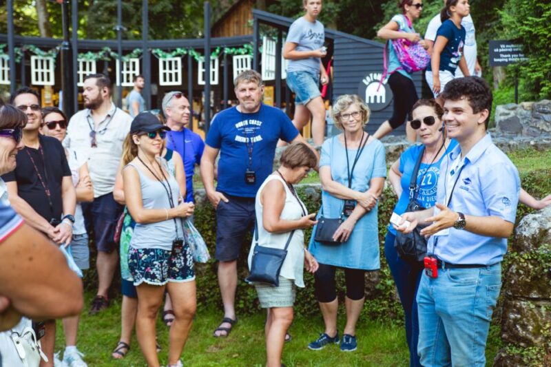 Bucharest: Dracula Castle, Peles Castle & Brasov Guided Tour - The Guide Experience and Customer Service