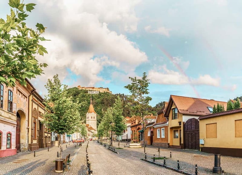 Bucharest: Dracula's Castle, Pele Castle & Braov Day Trip - What Makes This Tour Stand Out