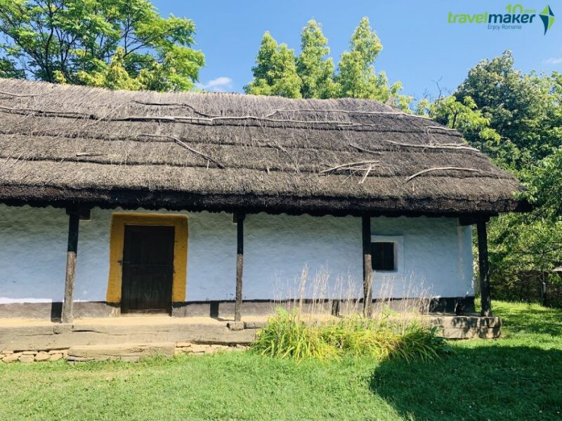 Bucharest: Half-Day Sightseeing Tour - Exploring Bucharests Most Important Squares and Avenues