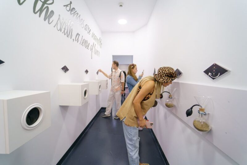 Bucharest: Museum of Senses Entry Ticket - Accessibility and Family-Friendly Elements