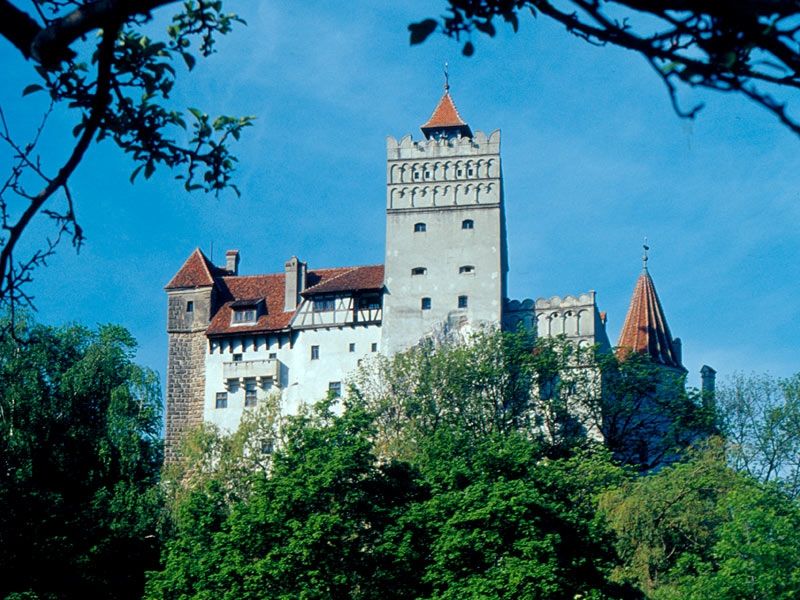 Bucharest: Peles Castle, Dracula's Castle and Brasov Tour - The Guide and Tour Experience