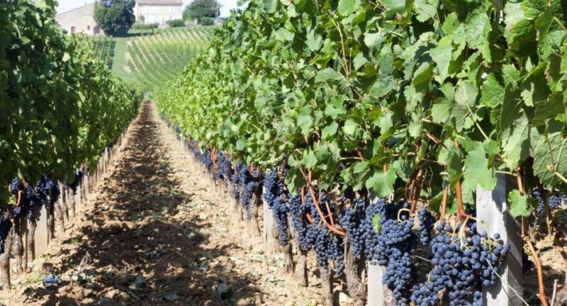 Bucharest Private to biggest Salt mine in Eu & Dracula Tomb - Frequently Asked Questions