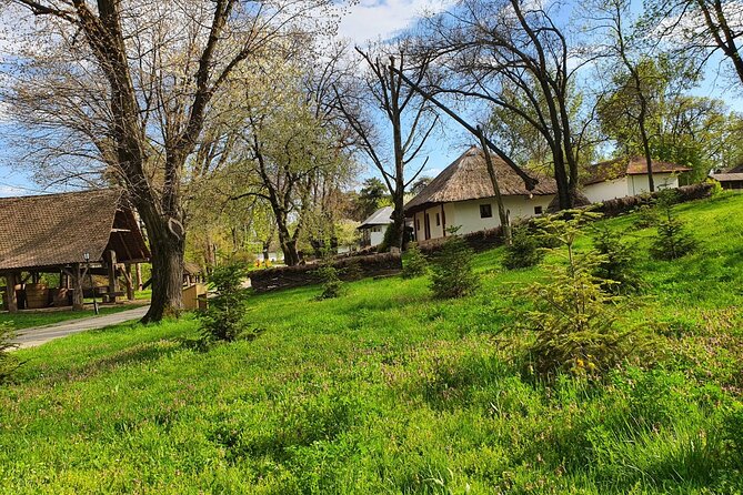 Bucharest Private Tour with Dracula's Grave and Ceauescu Mansion - Convenient Logistics with Private Transportation