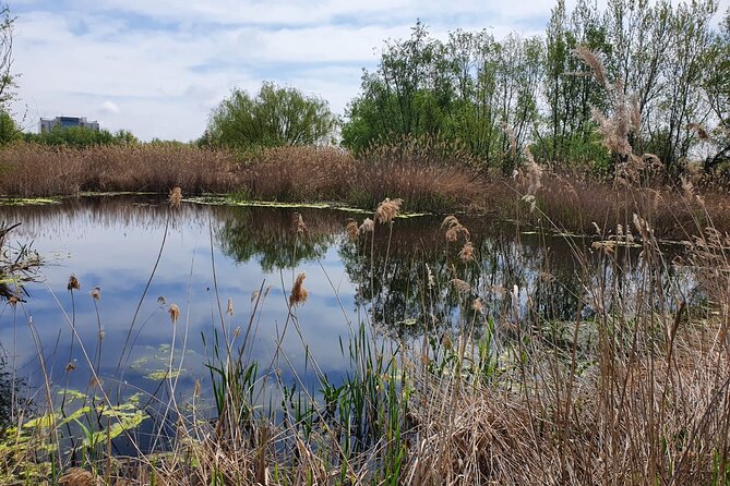 Bucharest Private Tour with Dracula's Grave and Ceauescu Mansion - Flexibility and Booking Details