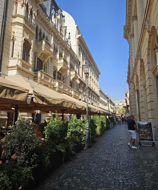 Bucharest: Private Wine and Food Tour with Tastings - Logistics and Booking Flexibility