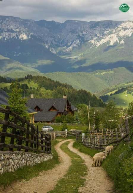 Bucharest: Romanian Villages & Countryside Tour - Key Points