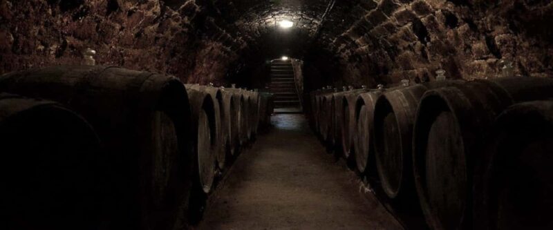 Bucharest: Salt Mine Tour with Wine Tasting - Return Journey and Final Stop in Bucharest