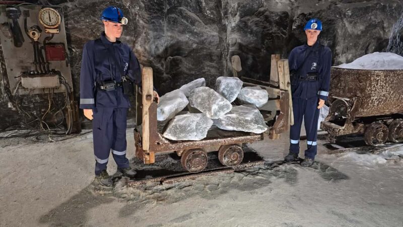 Bucharest: Slanic Salt Mine & Tomb of Dracula Half Day Trip - Accessibility, Physical Requirements, and Tour Suitability