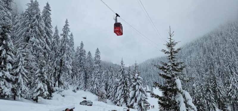 Bucharest: Snowmobile Tour with Pele Castle and Cable Car - Key Points