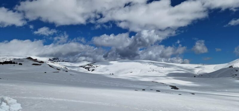 Bucharest: Snowmobile Tour with Pele Castle and Cable Car - Cable Car Ascent with Stunning Mountain Views
