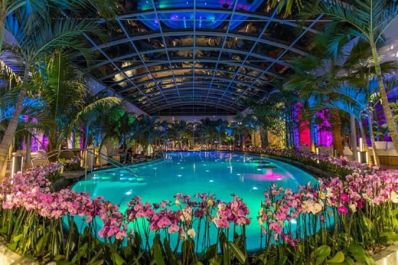 Bucharest: Therme Bucuresti Entry Ticket with Transfer - Discover the Largest Indoor Wellness Center in Europe with Convenient Transfer