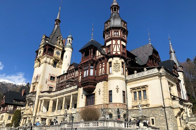 Bucharest to Dracula Castle, Peles Castle and Brasov Guided Tour - The Transport and Group Dynamics