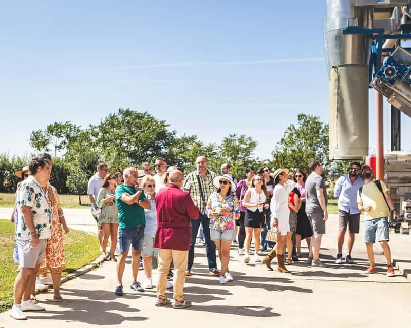 Bucharest: Tour The Wine Road, 2 Boutique Wineries in 1 Day - Key Points