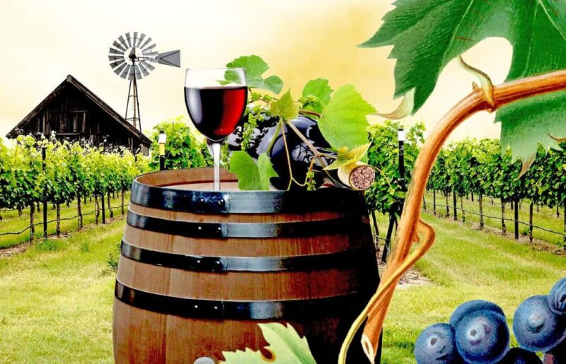 Bucharest: Wine Tasting and Salt Mine Day Trip - Explore Prahova’s Salt Mine and Buzau’s Vineyards in One Day