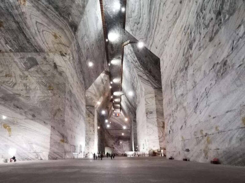 Bucharest: Wine Tasting and Salt Mine Day Trip - Scenic Drive Through the Carpathians