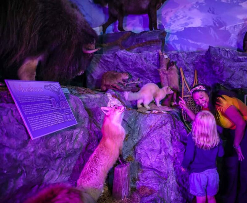 Buckhorn Saloon & Museum / Texas Ranger Museum Entry Ticket - Key Points