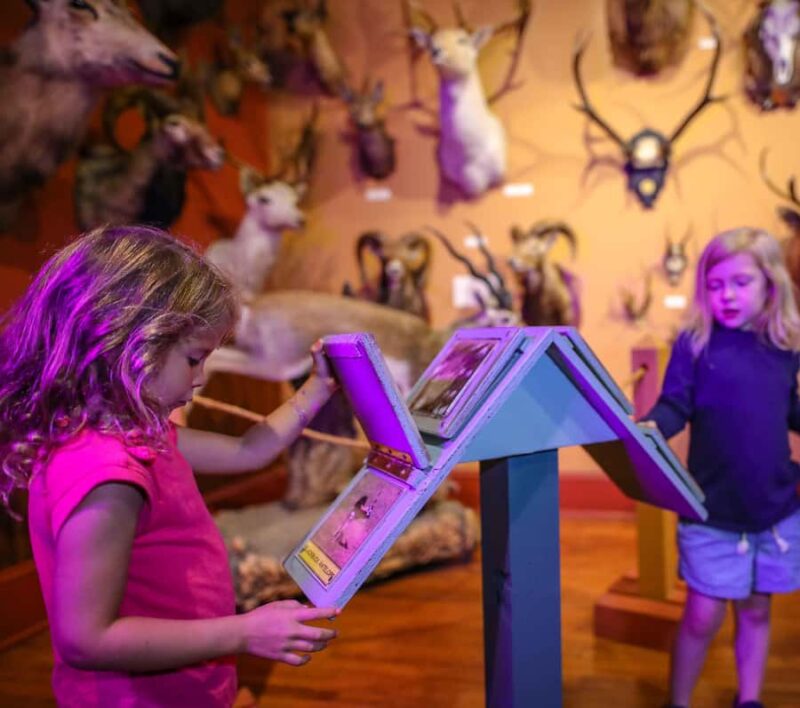 Buckhorn Saloon & Museum / Texas Ranger Museum Entry Ticket - The Location of the Buckhorn Saloon & Museum and Texas Ranger Museum