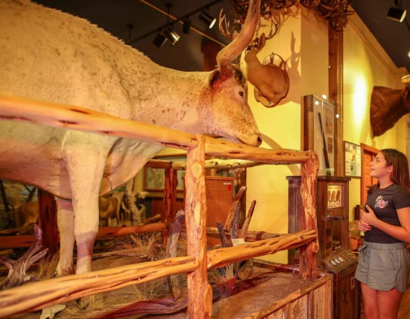 Buckhorn Saloon & Museum / Texas Ranger Museum Entry Ticket - Family-Friendly Activities and Vintage Attractions
