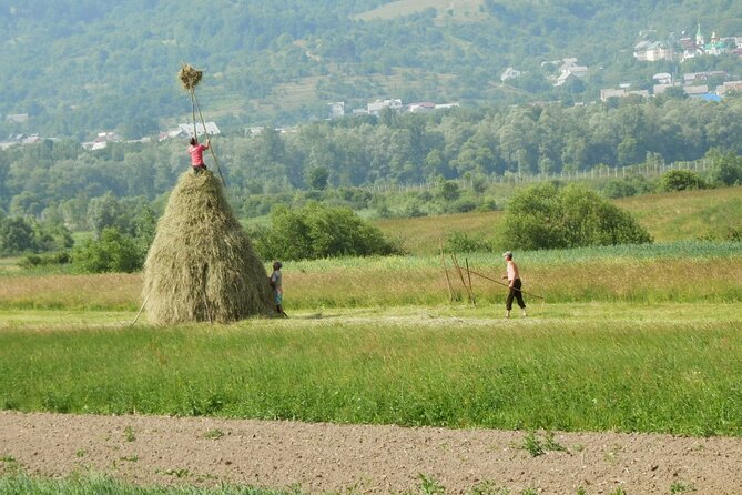 Bucovina Extra Day Monasteries Tour - Optional Local Dining and Cultural Stops