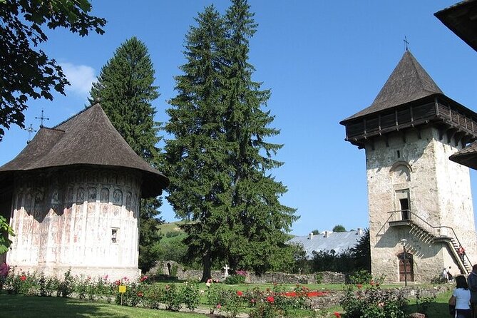 Bucovina Painted Monasteries Day Tour - Key Points