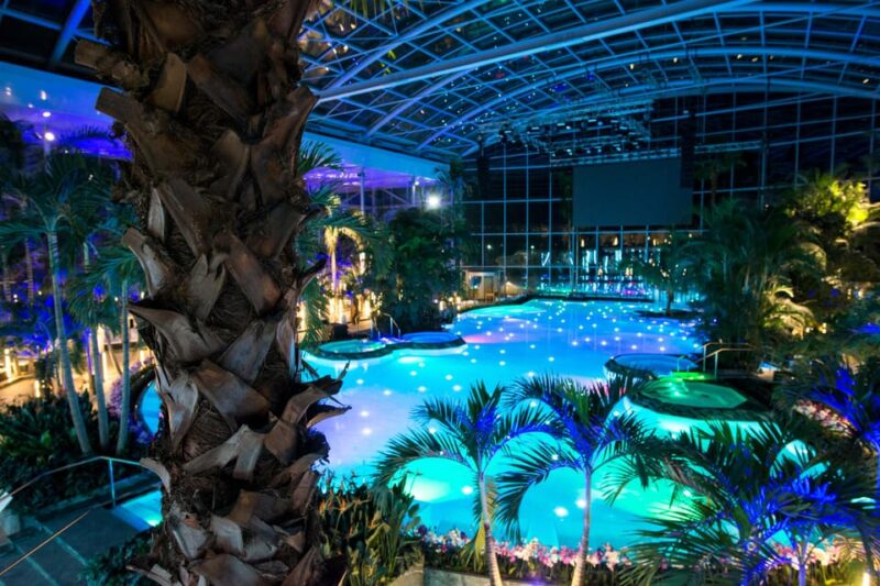 Bucuresti: Therme Bucharest Evening Entry Ticket & Transfer - Discover the Evening Experience at Therme Bucharest for Only $51
