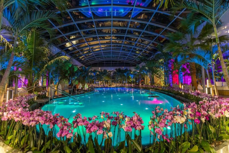 Bucuresti: Therme Bucharest Evening Entry Ticket & Transfer - Accessibility and Family-Friendly Aspects