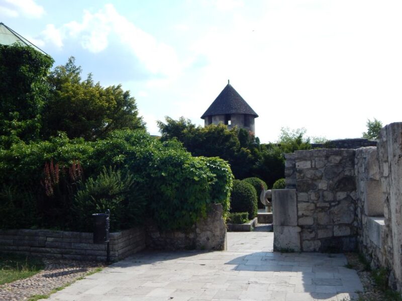 Buda Castle: Private Walking Tour - Key Points