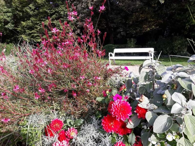 Budapest: Best Gardens Walking Tour & Folk Music Performance - Discover Budapest’s Green Spaces and Floral Beauty in Just 5 Hours